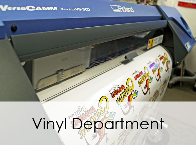 Vinyl Department